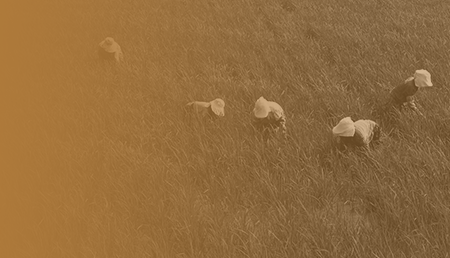 加盟模式 加盟模式